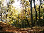 Nationalpark Jasmund