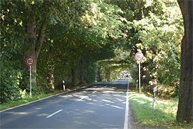 Deutsche Allenstraße bei Karnewitz